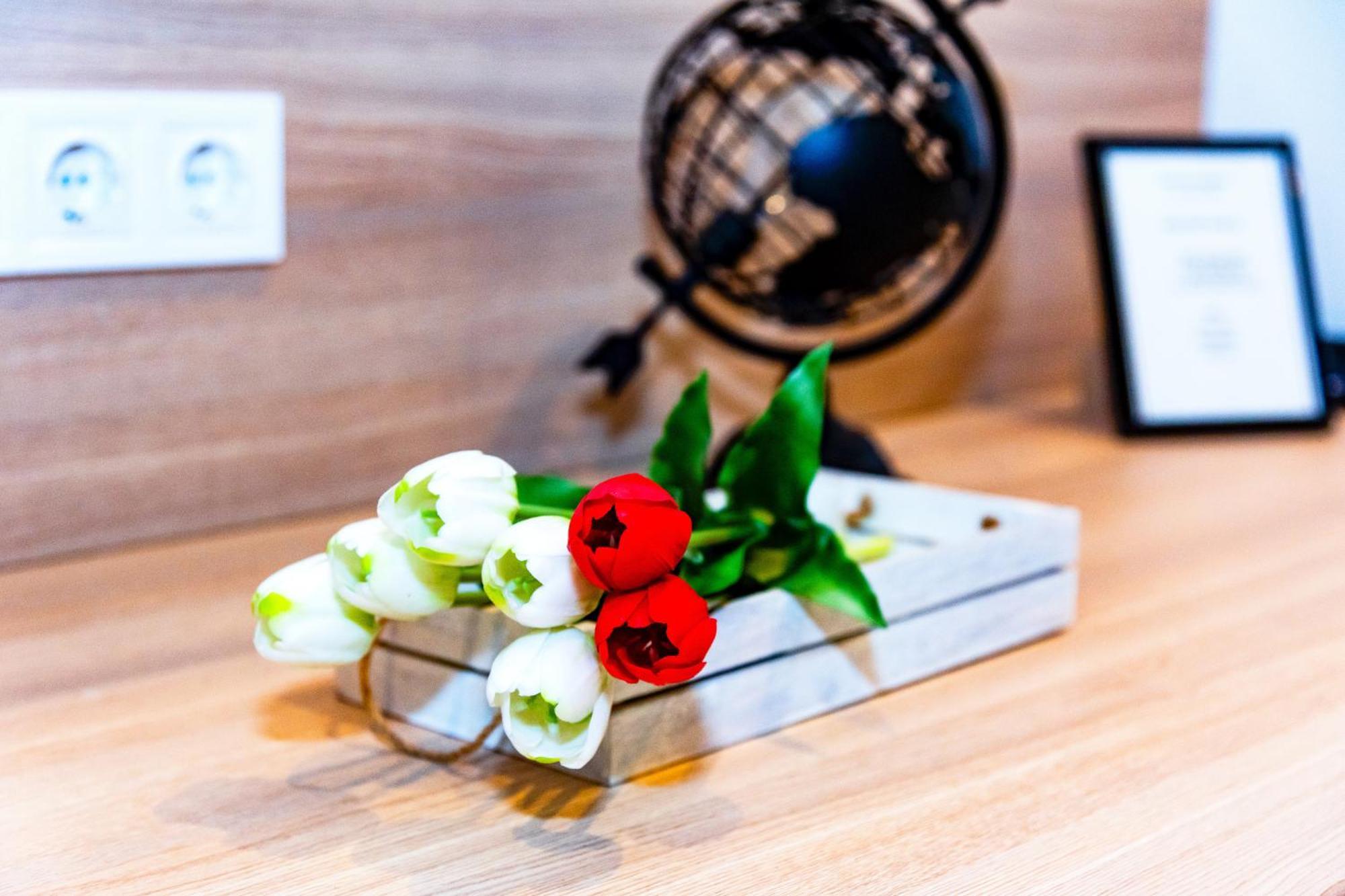Monstera Apartman 布达佩斯 外观 照片